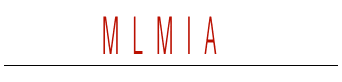 MLMIA